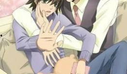 耽美动漫在线观看,在线观看，尽享浪漫时光